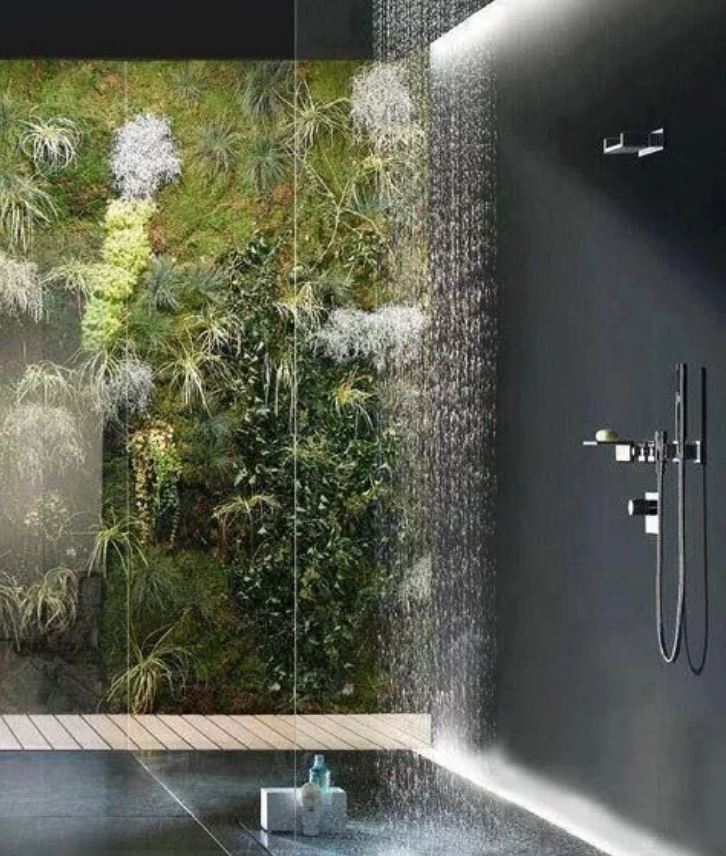 walk in shower with plant wall